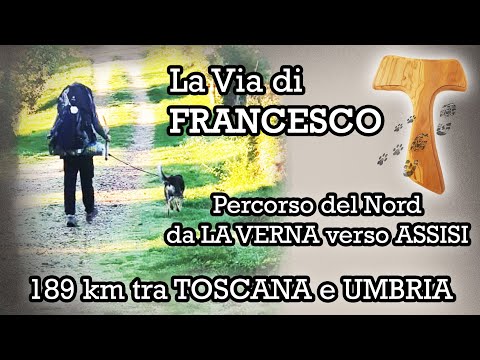 La VIA DI FRANCESCO insieme al CANE - Percorso del Nord - da LA VERNA  verso ASSISI - 189 km