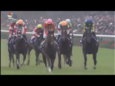 2015 JRA  Mile Championship