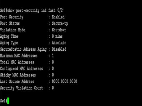 CompTIA Security 101 Labs l Hping
