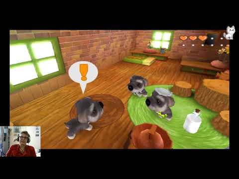 Doan plays THE DOG Island 1