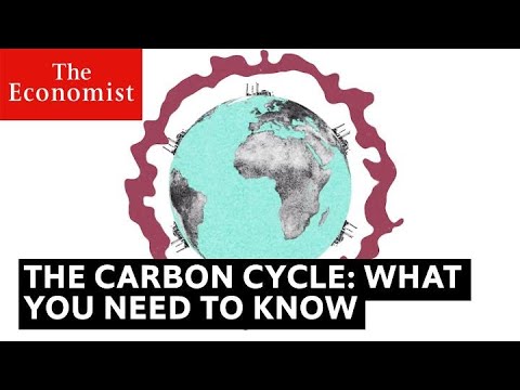 The carbon cycle is key to understanding climate change
