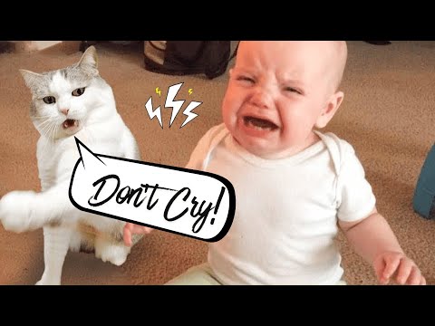 Funniest Baby And Cat Are Best Friends