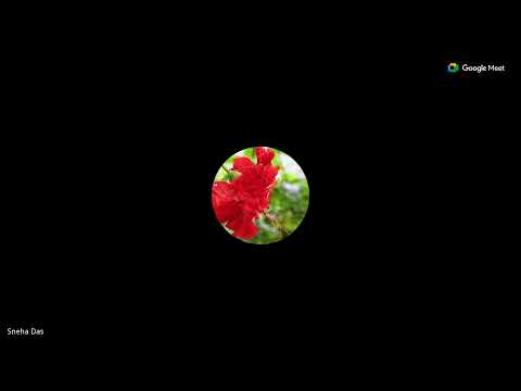 Python Week 5 Live Coding 1