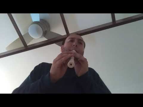 "Call Me Maybe" originally performed by Carly Rae Jepsen -- A recorder adaptation