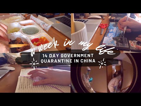 14 days mandatory quarantine vlog (Shanghai, China)