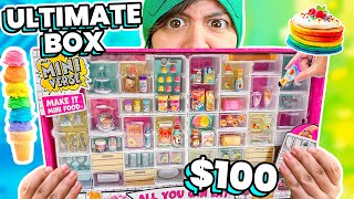 I Bought $100 ULTIMATE Miniature Food Collection