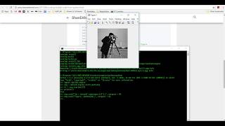 How to run MATLAB code from Python