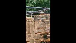 VIDEO0260