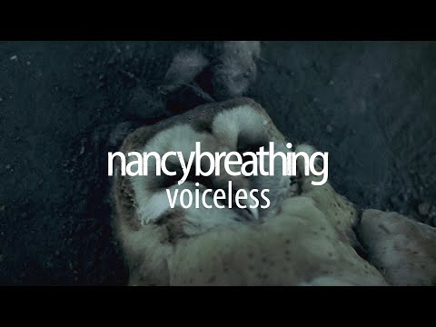 nancybreathing - voiceless