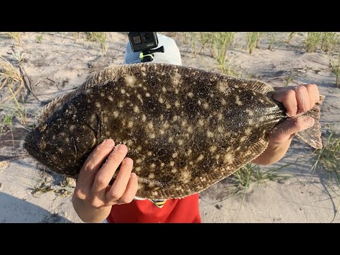 Fluke Fishing Eastern Long Island - Insane Action! Bonus Catch and Cook