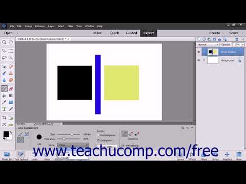 Photoshop Elements 2018 Tutorial The Color Replacement...