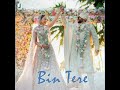 Bin Tere Jacky Bhagani And Rakul Preet Singh Trending Wedding Song Tanishk Bagchi