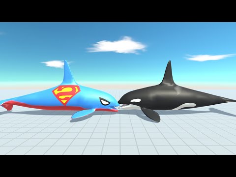 SUPER MAN ORCA DEATH RUN TOUR - Animal Revolt Battle Simulator