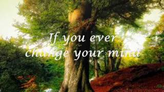 Crystal Gayle - If you ever change your mind lyrics