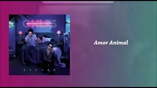 Amor Animal Music Video