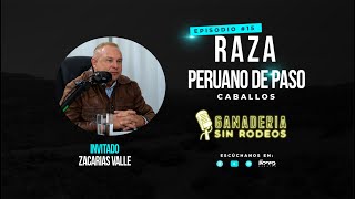 RAZA PERUANO DE PASO