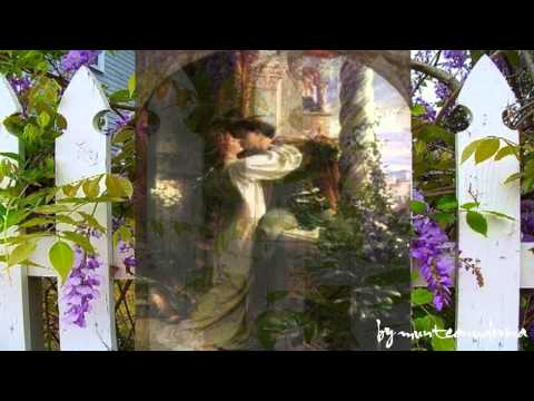 Nina Savu - Am o boala si-un dor greu