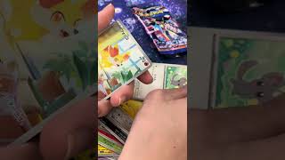 ニンジャスピナーバラ10p
