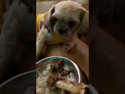 Litrato nawalang timbang sa ksenalten Sa sangang-daan ng pagkawala ng timbang sa isang linggo