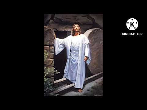 Prophecy night days 4:gate 1 to gate 21