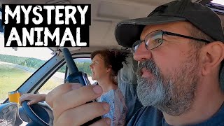CANADIAN VAN LIFE ADVENTURE - WITH THE INDIE PROJECTS  [S7-E53]