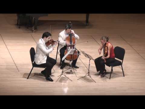 Beethoven String Trio in C minor - 1st mvt. | G. Schmidt, L. Francis, E. Kim