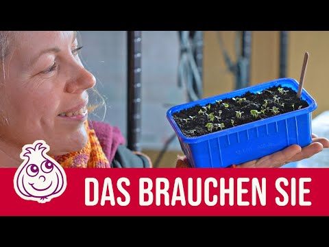 How does sowing work in January? | What should you keep in mind?