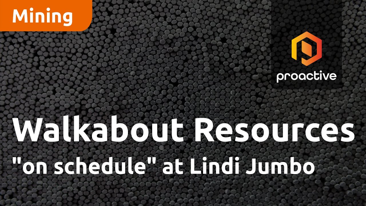 Walkabout Resources "on schedule" at Lindi Jumbo