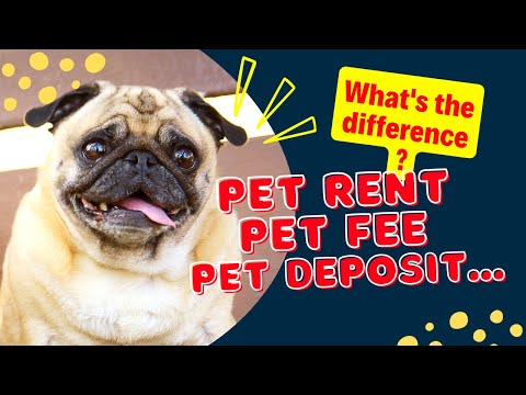 PET RENT, PET FEE, PET DEPOSIT...WHAT'S THE DIFFERENCE?