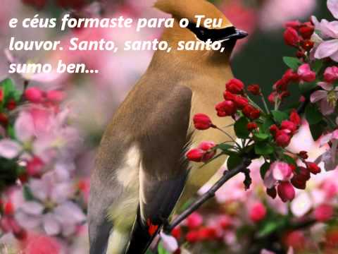 Santo És, Senhor, Hinário Adventista Nº 577