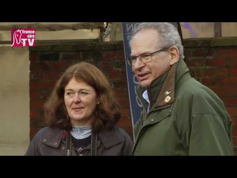 Yorton Farm's stallion parade 2016