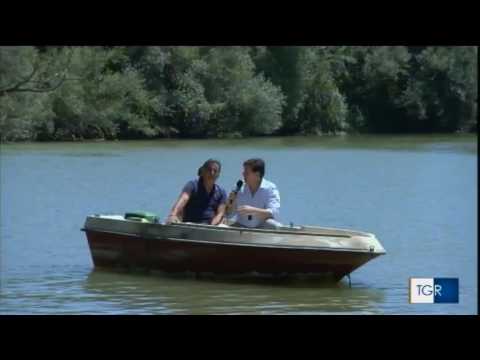 §.7/- L'agro di Cancello e Arnone, con il fiume Volturno per tratti navigabile - Tgr 5 agosto 2017