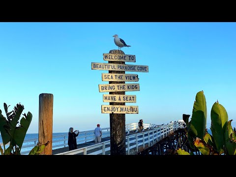 Paradise Cove Malibu California - Is it Worth a Visit?