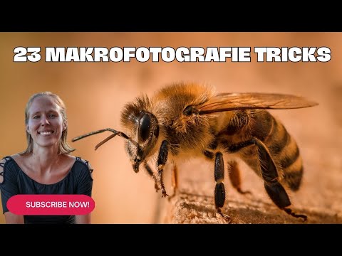 Makrofotografie Tutorial – Kleine Dinge ganz groß in Szene setzen