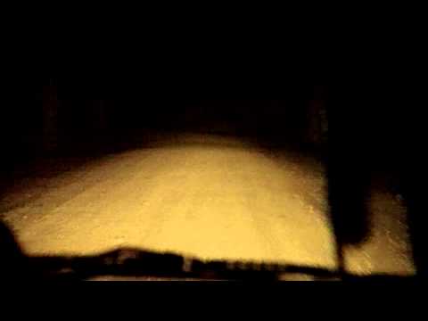 Bear Creek Swamp Video 4