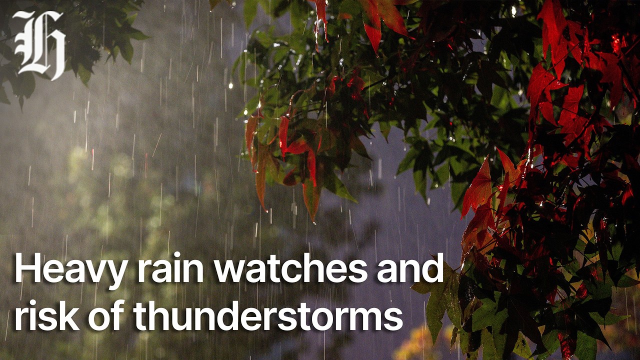 MetService severe weather update: March 12