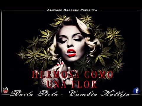 BAILA PIOLA - Hermosa Como Una Flor  2016