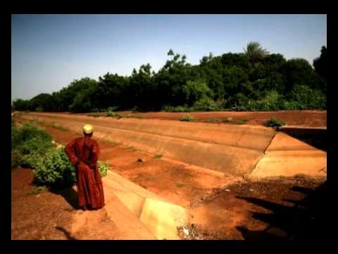 New Farming Techniques Rejuvenate Niger's Farmland