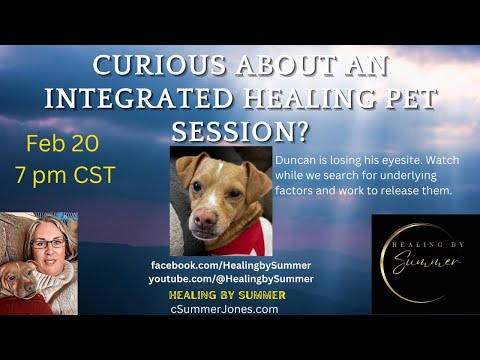 Watch Duncan Receive a Pet Healing Session 2/20 7 pm cst