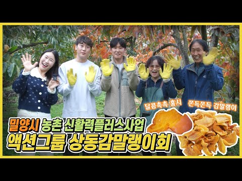 씨 없는 홍시 반시 구경하러 상동감말랭이회로 오세요