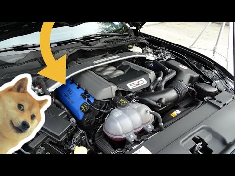 Ford Performance 5.0 Coil Covers Install! | Yankee Dewey