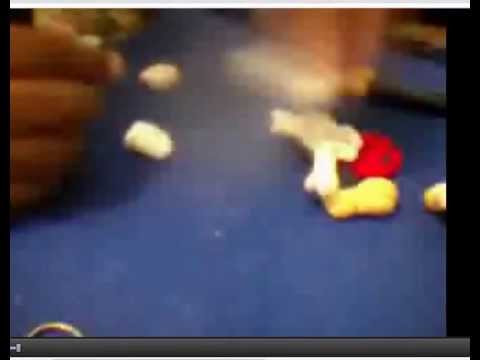 joaninha para apliques