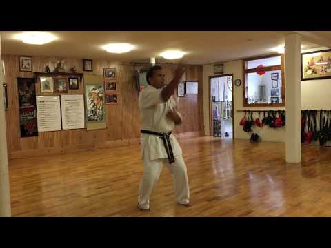 Uechi-Ryu Karate Do Sanseiru Kata Manny Neves