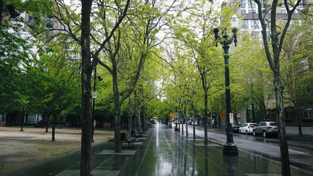 Immersive street-level walking tour through Pearl District Portland, OR during Pandemic, showcasing authentic urban landscapes, local architecture, and the vibrant atmosphere of the city's neighborhoods