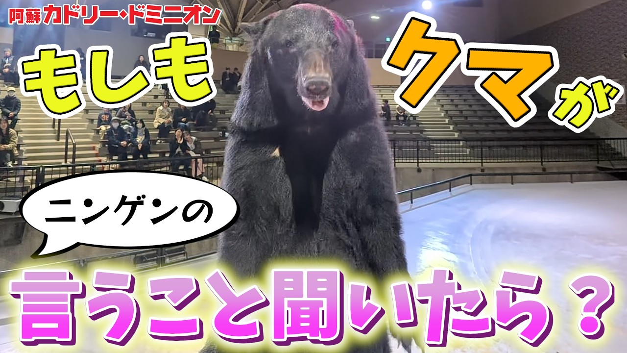 日本唯一の猛獣トレーナーにカメラをつけたら、85kgのクマが言うことをきく大迫力映像とれた！