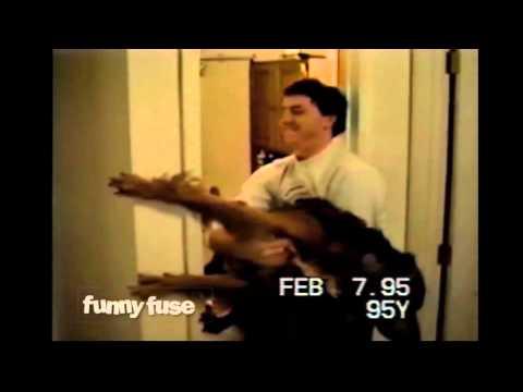 Funny dog bathing compilation