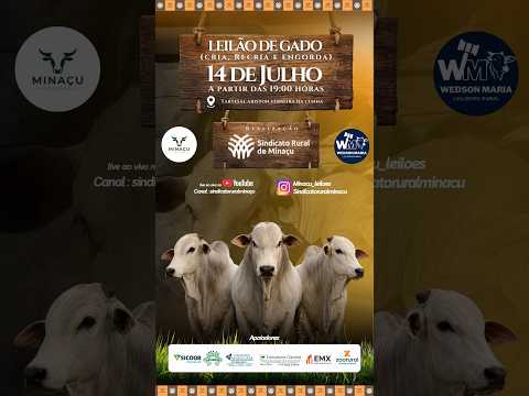 LEILÃO GADO DE CORTE - SINDICATO RURAL DE MINAÇU GO - 14/07/2026