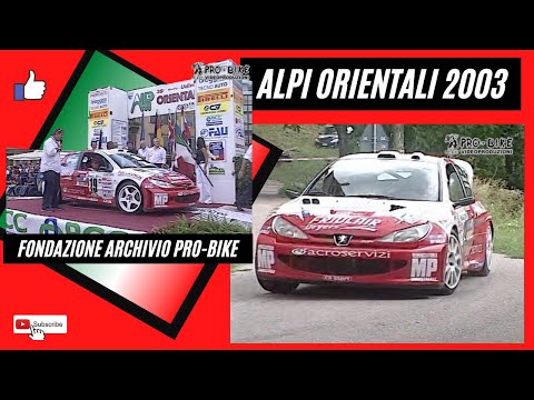 Campionato Italiano Rally 2003 Alpi Orientali