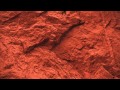 TĀLĀ - Alchemy 