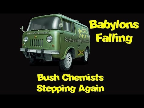 Bush Chemists - Stepping Again